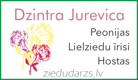 Jurevica Dzintra 