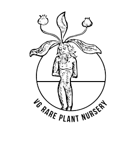 V.G.-Rare plant nursery IK,